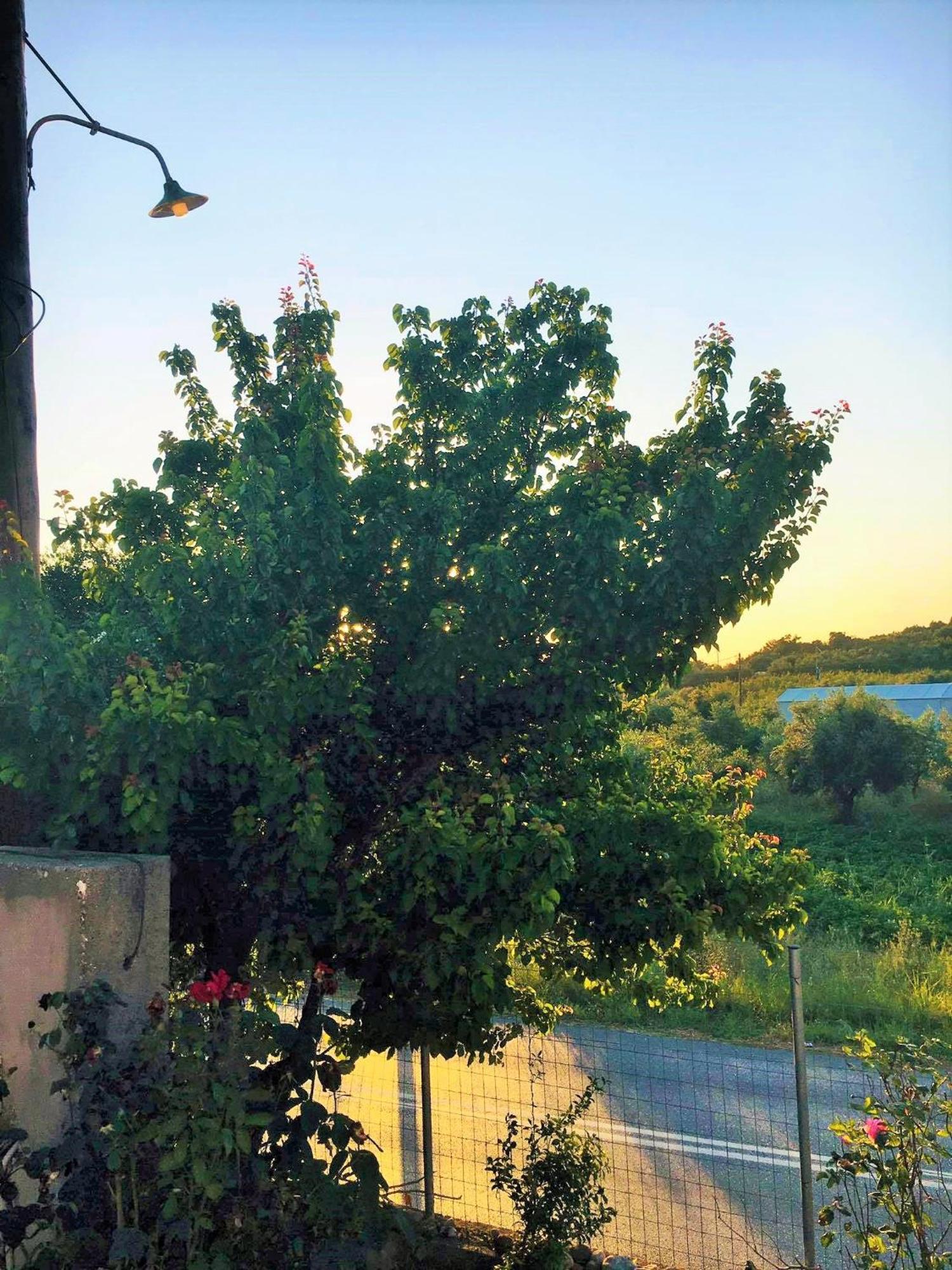 Evilion House Intholo. Sea, Nature, Relaxation! 外观 照片